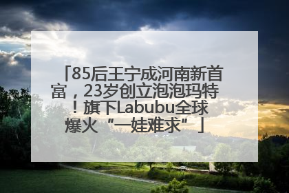 85后王宁成河南新首富，23岁创立泡泡玛特！旗下Labubu全球爆火“一娃难求”