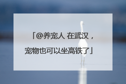 @养宠人 在武汉，宠物也可以坐高铁了